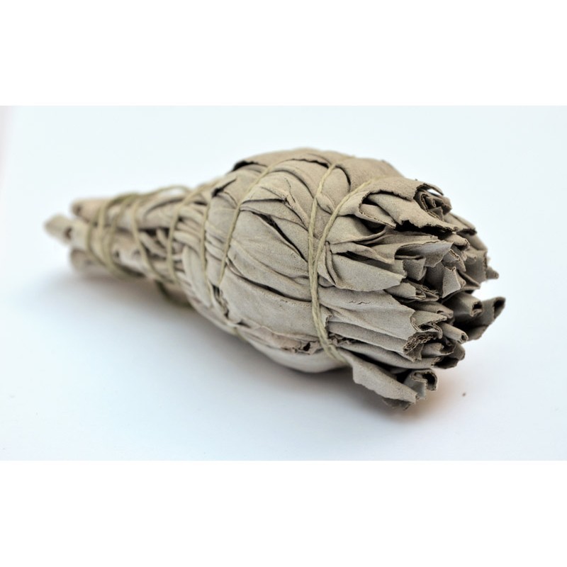 Atados de Salvia Blanca ( de California ) Indios Americanos. ORIGINAL - Imagen 2