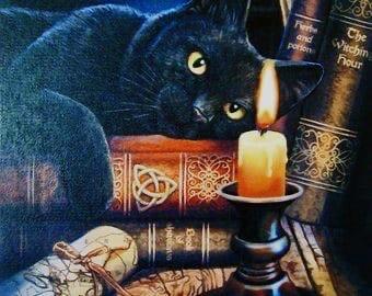 Consulta TAROT,  VIDENCIA  Exprés  (10 Minutos)