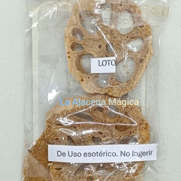 HIERBA LOTO (equilibrio)