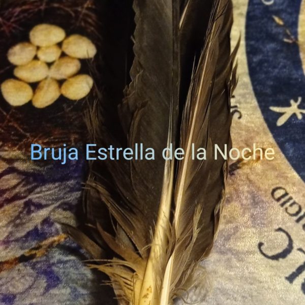 Plumas Negras 1 unidad