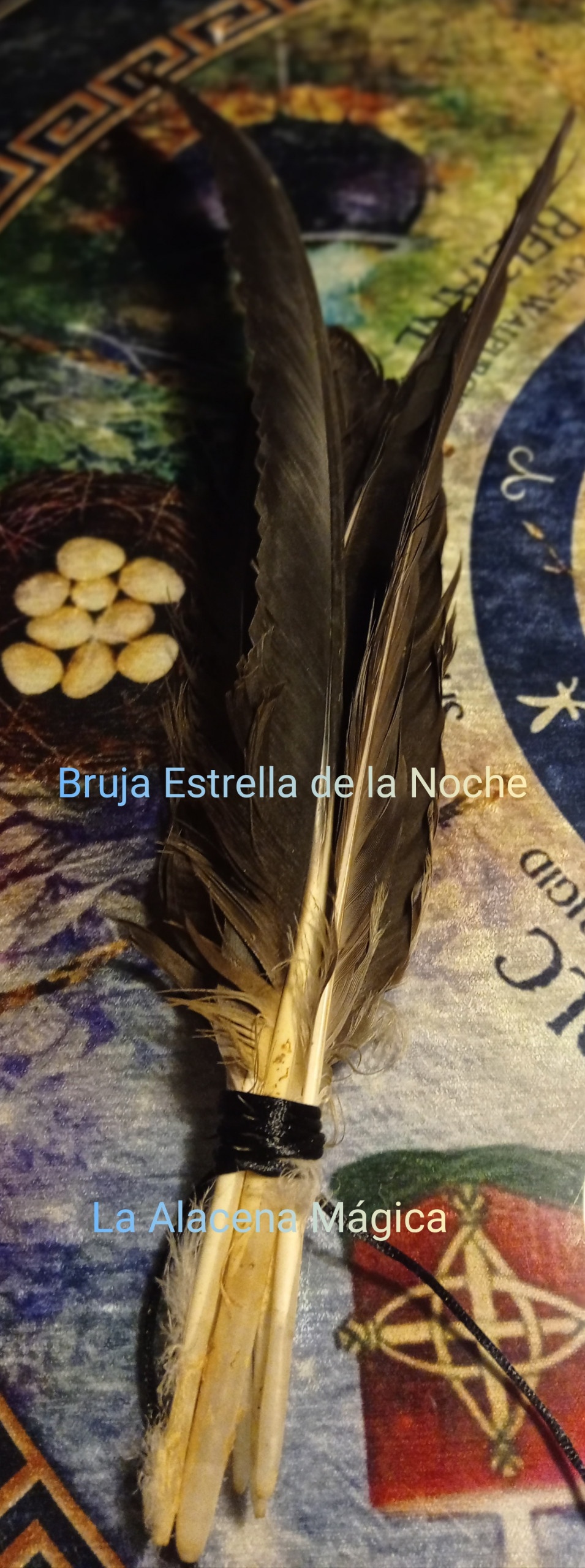 Plumas Negras 1 unidad