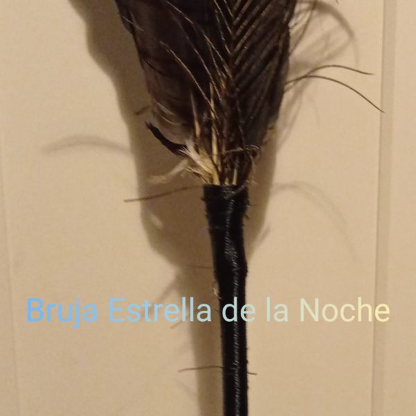 Escoba Bruja