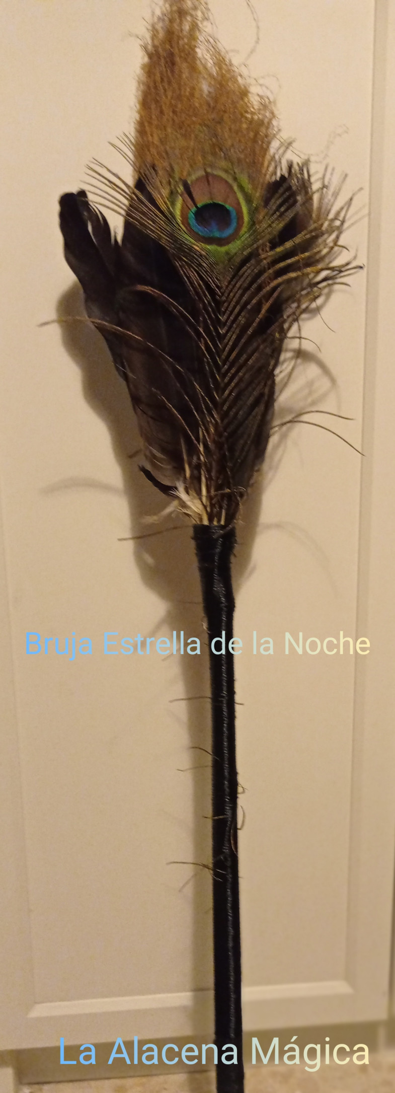 Escoba Bruja
