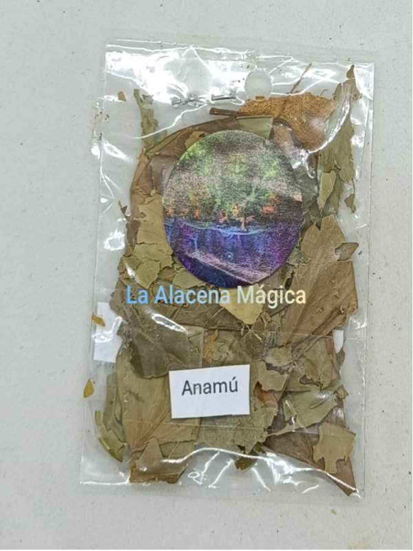 HIERBA ANAMU