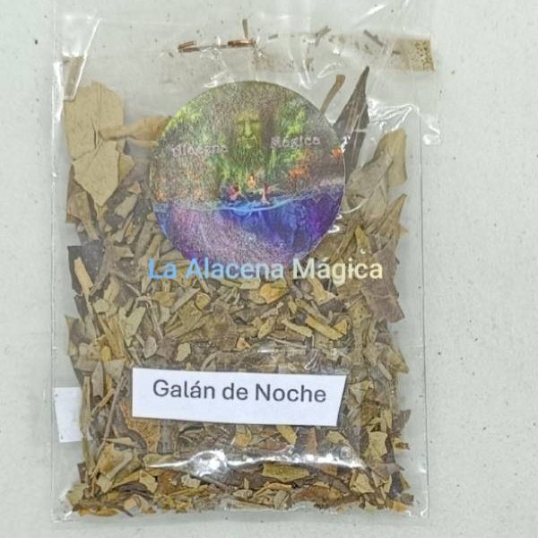 HIERBA GALAN DE NOCHE