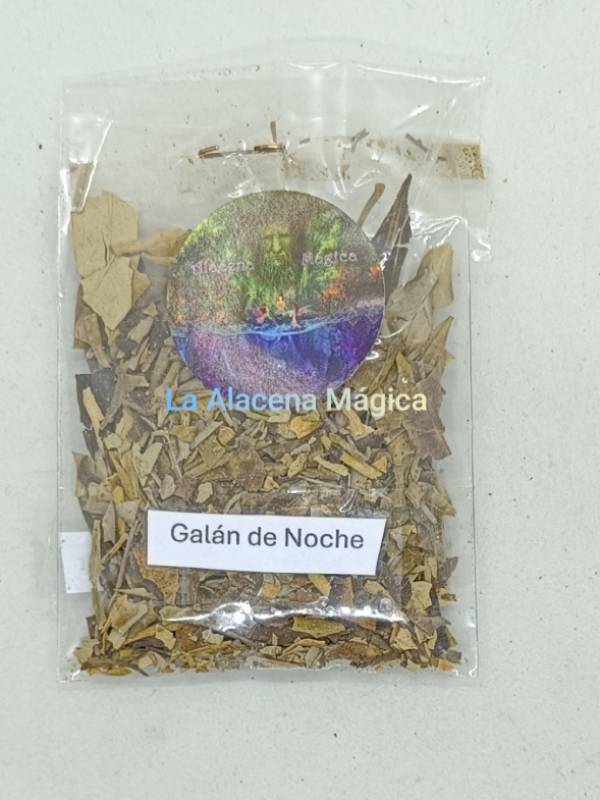 HIERBA GALAN DE NOCHE