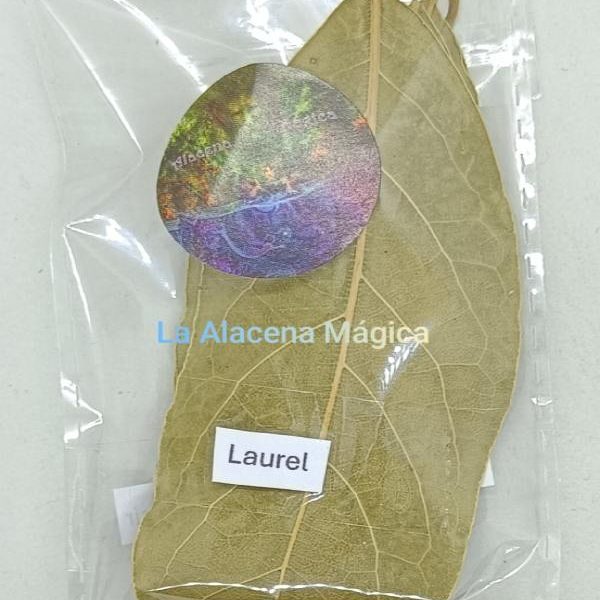 HIERBA LAUREL