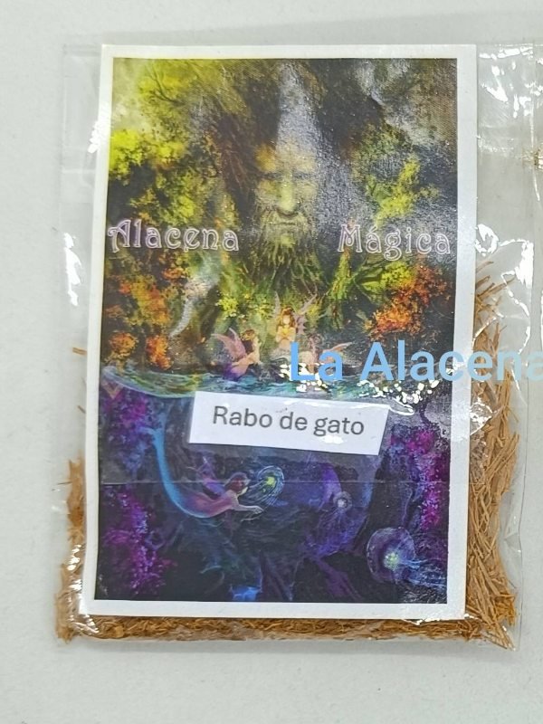 HIERBA UÑA DE GATO - Imagen 2