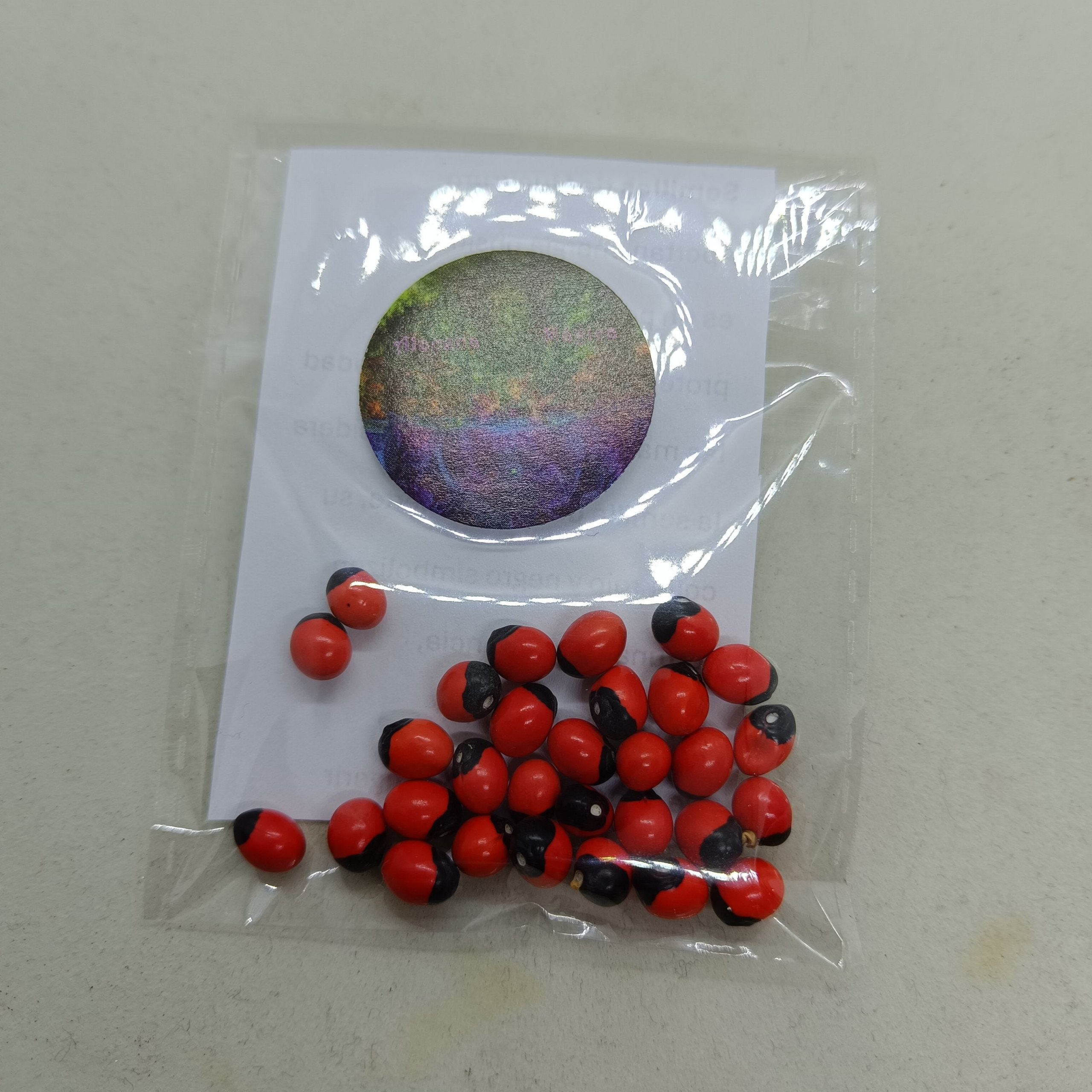 Semillas de Huayruro (30 semillas)